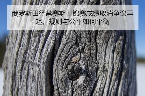 俄罗斯田径禁赛期世锦赛成绩取消争议再起，规则与公平如何平衡